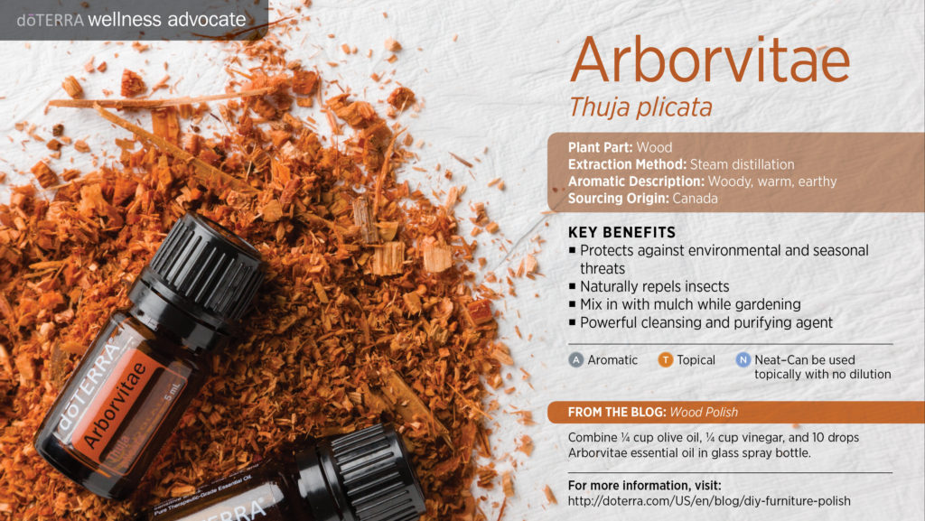 doterra-wellness-advocate-arborvitae-essentialoil