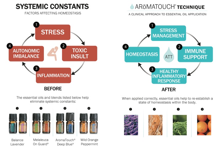 AromaTouch information